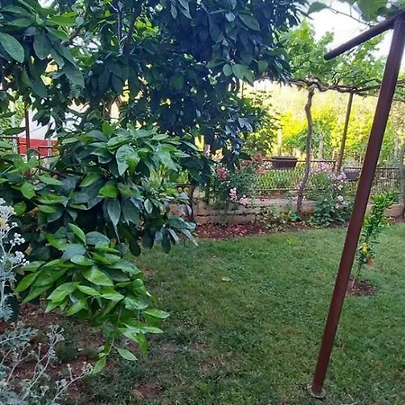 Appartement Danijela