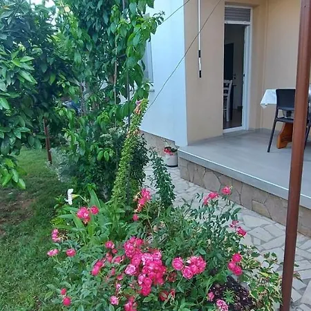 Danijela